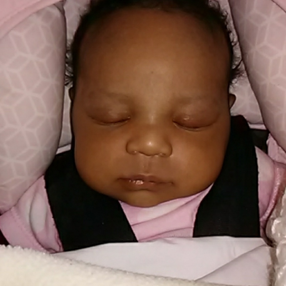 All products are FREE of 17+ allergens etc.